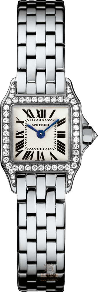 Cartier Santos de Cartier Watch WF9005Y8 24 mm White gold Case Silver Dial