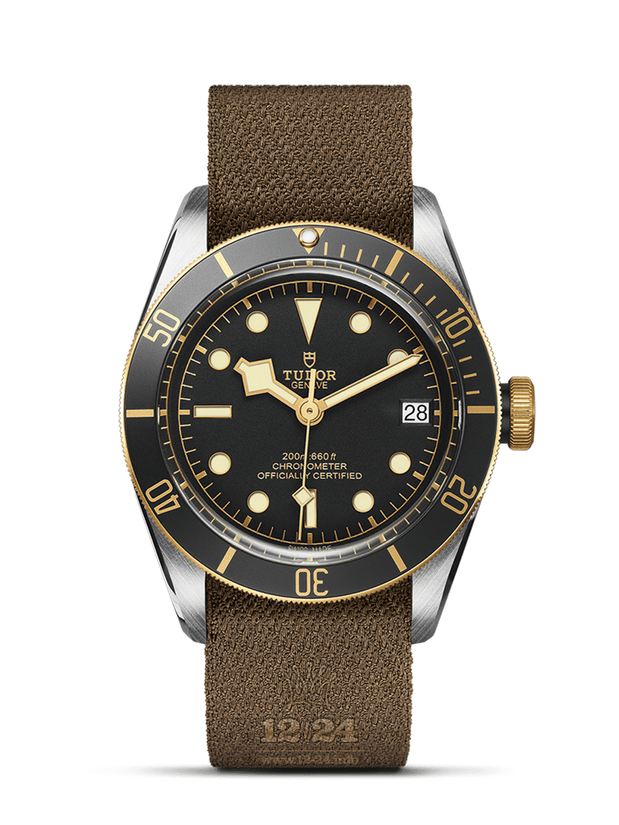 Tudor Black Bay S G Watch M79733N-0005 41 mm Stainless steel Yellow gold Case Black Dial