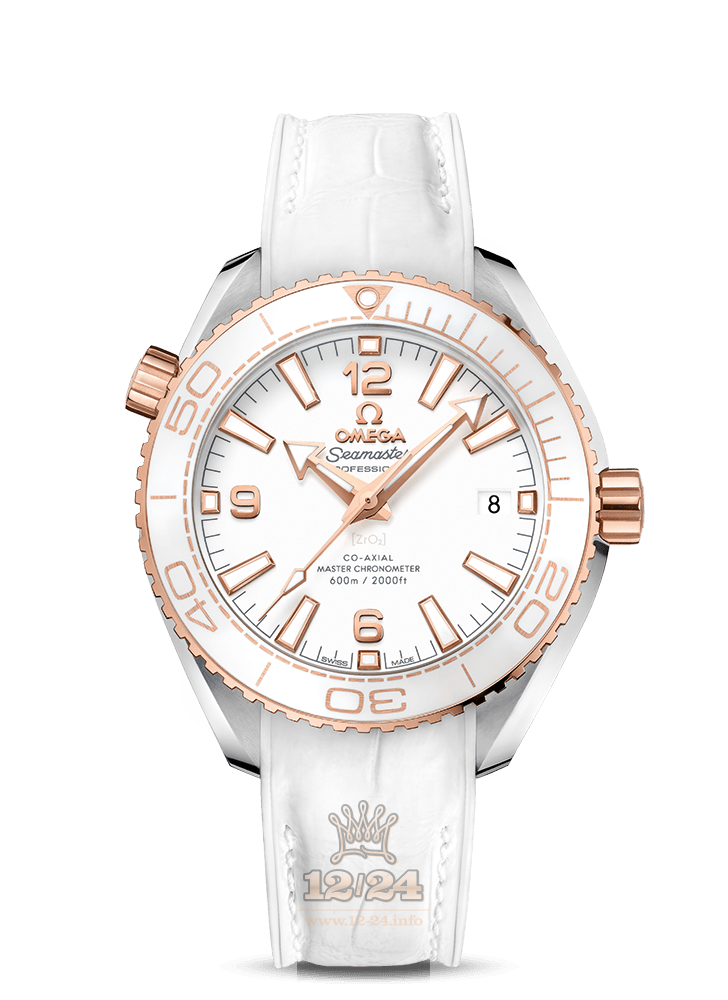 Omega Planet Ocean 600 M Watch 215.23.40.20.04.001 40 mm Pink gold Case White Dial