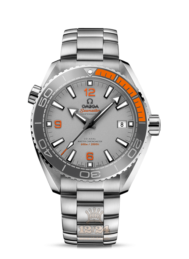 Omega Planet Ocean 600 M Watch 215.90.44.21.99.001 44 mm Titanium Case Gray Dial