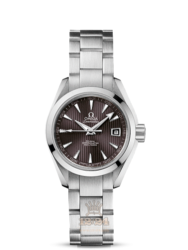 Omega Aqua Terra 150 M Watch 231.10.30.20.06.001 30 mm Stainless steel Case Gray Dial