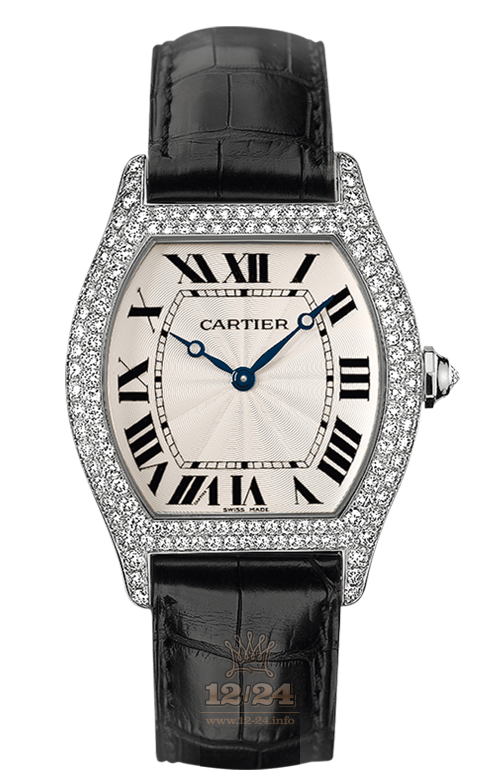 Cartier Tortue Watch WA503851 43 mm White gold Case Silver Dial