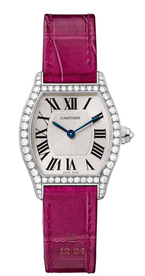 Cartier Tortue Watch WA501007 30 mm White gold Case Silver Dial