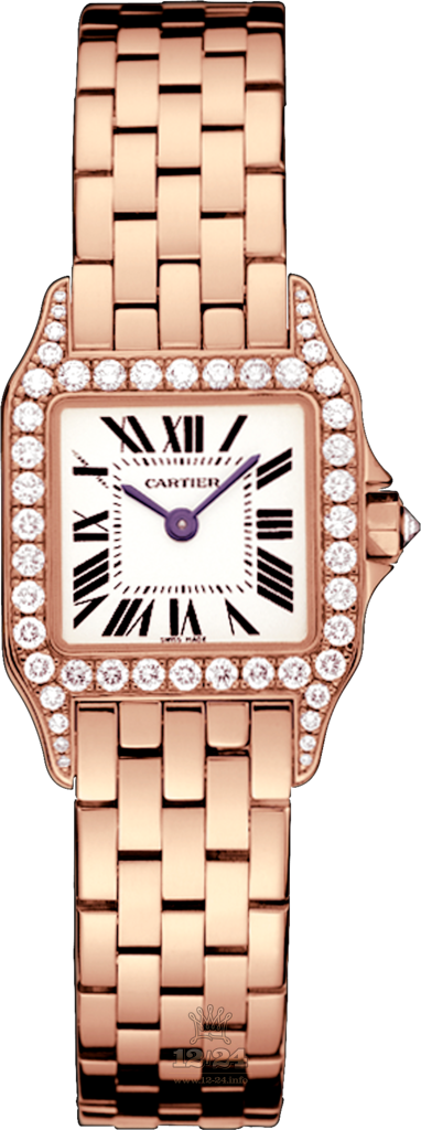 Cartier Santos de Cartier Watch WF9008Z8 28 mm Pink gold Case Silver Dial