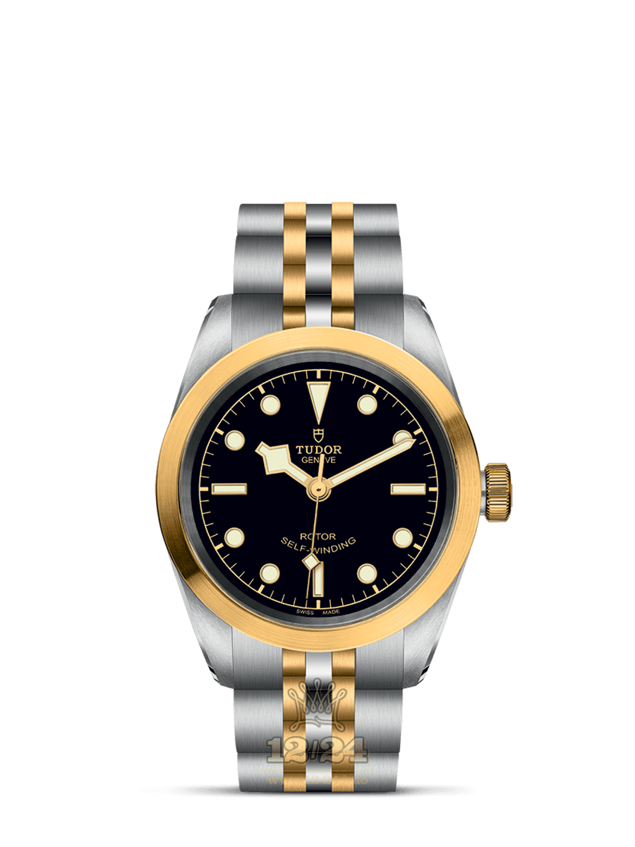 Tudor Black Bay 32 Watch M79583-0001 32 mm Stainless steel Yellow gold Case Black Dial
