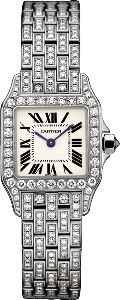 Cartier Santos de Cartier Watch WF9003YA 28 mm White gold Case Silver Dial