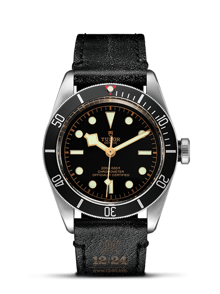 Tudor Black Bay Watch M79230N-0001 41 mm Stainless steel Case Black Dial