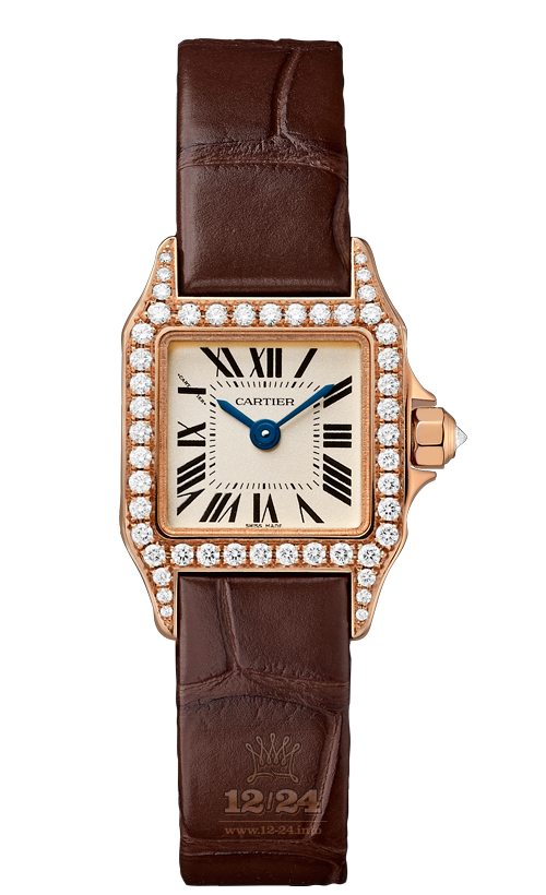 Cartier Santos de Cartier Watch WF902006 28 mm Pink gold Case Silver Dial