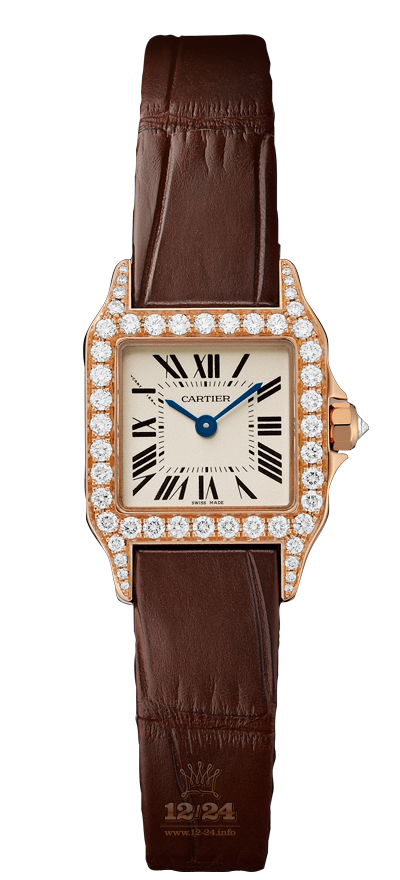 Cartier Santos de Cartier Watch WF902004 24 mm Pink gold Case Silver Dial
