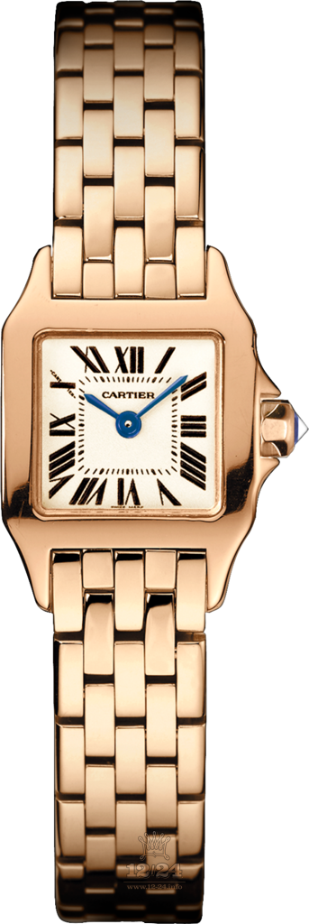 Cartier Santos de Cartier Watch W25077X9 24 mm Pink gold Case Silver Dial
