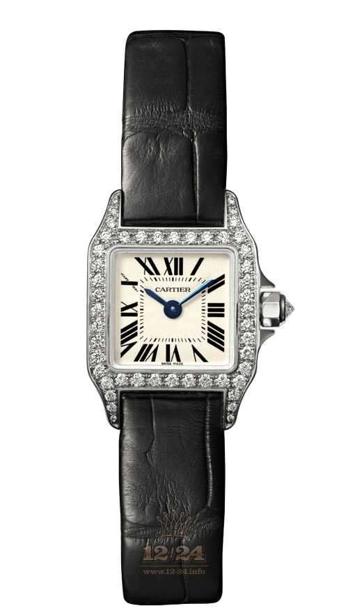 Cartier Santos de Cartier Watch WF902005 24 mm White gold Case Silver Dial