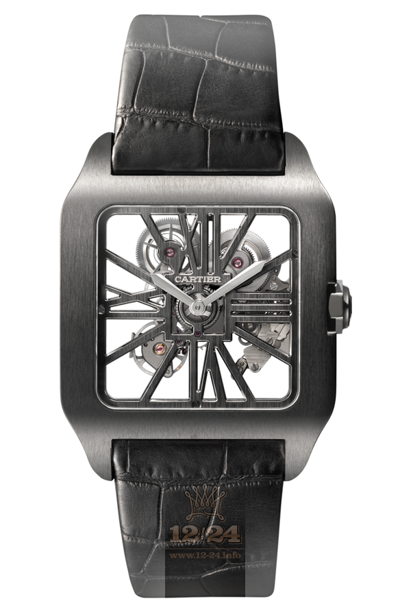 Cartier Santos de Cartier Watch W2020052 39 mm Titanium Case Black Gray Dial