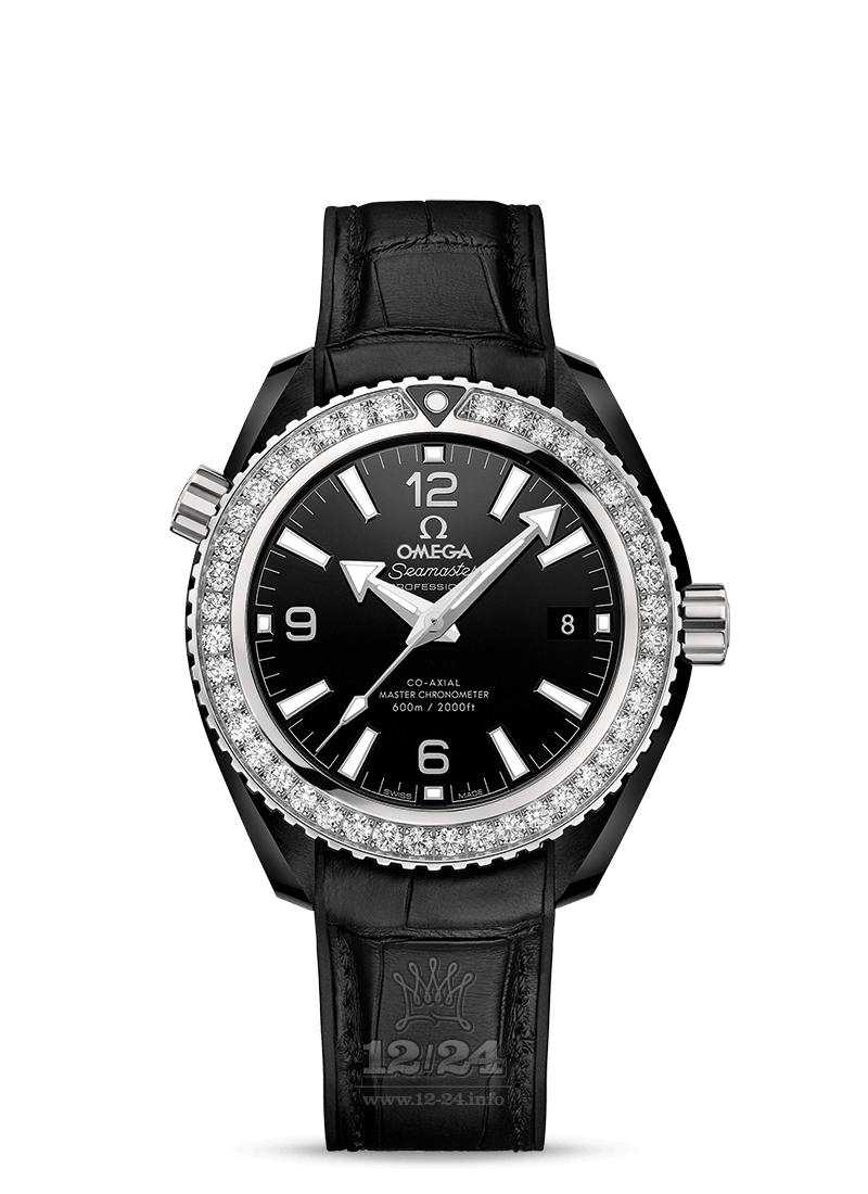 Omega Planet Ocean 600 M Watch 215.98.40.20.01.001 40 mm Ceramics Case Black Dial