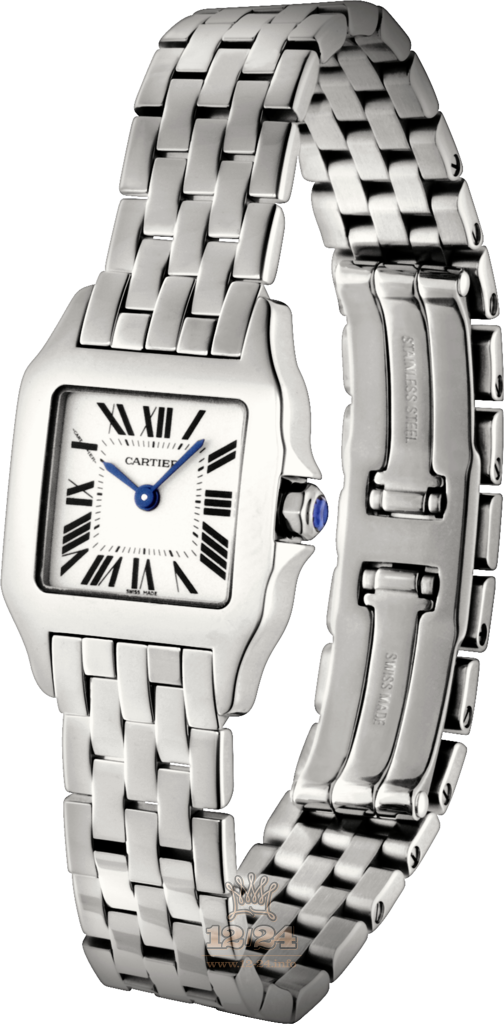 Cartier Santos de Cartier