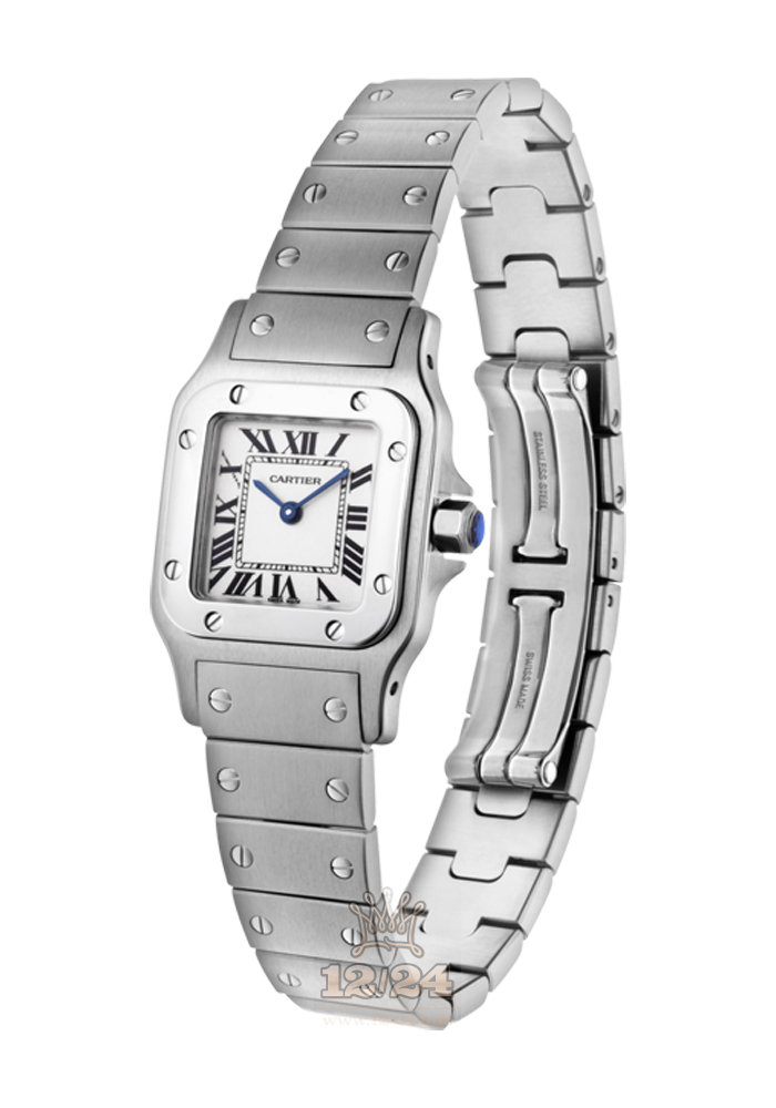Cartier Santos de Cartier