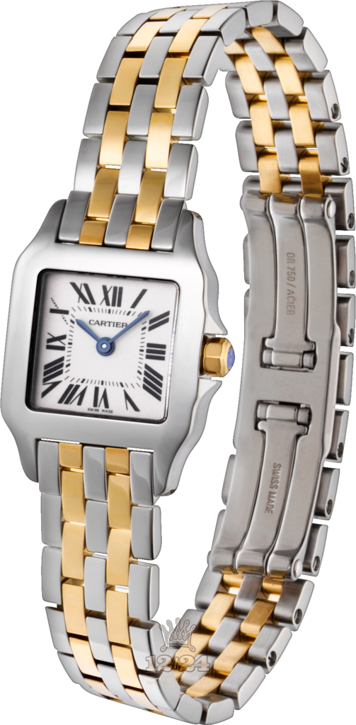 Cartier Santos de Cartier