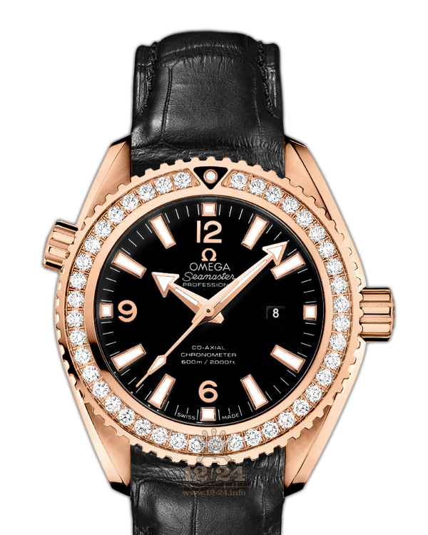 Omega Planet Ocean 600 M