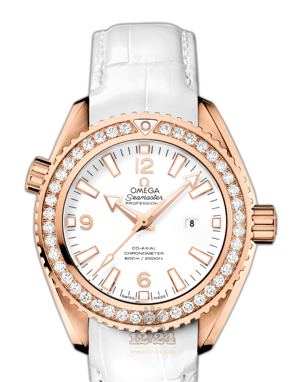Omega Planet Ocean 600 M