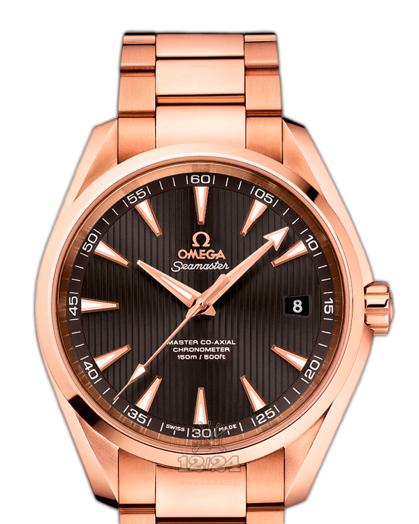Omega Aqua Terra 150 M