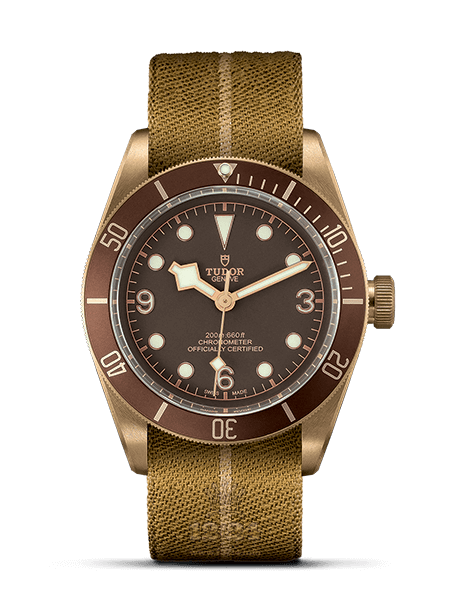 Tudor Black Bay Bronze
