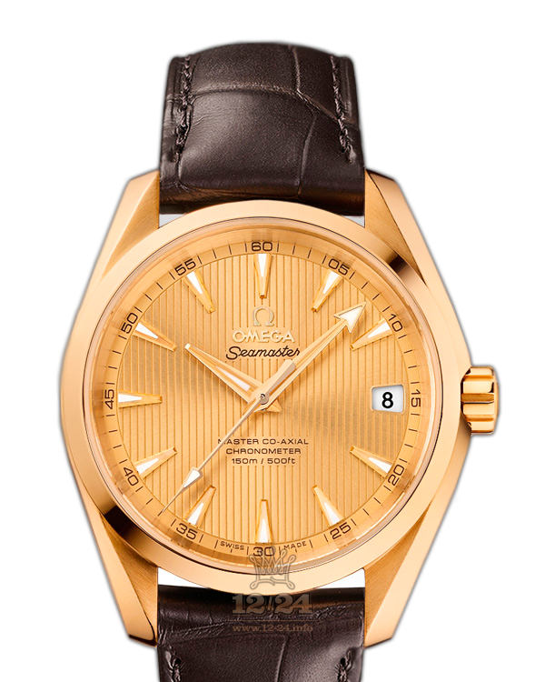 Omega Aqua Terra 150 M