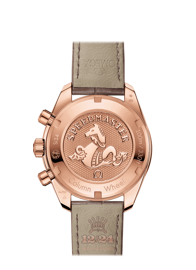 Omega Speedmaster