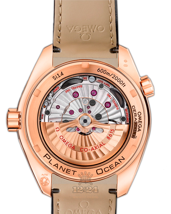Omega Planet Ocean 600 M