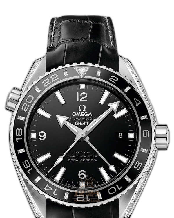 Omega Planet Ocean 600 M