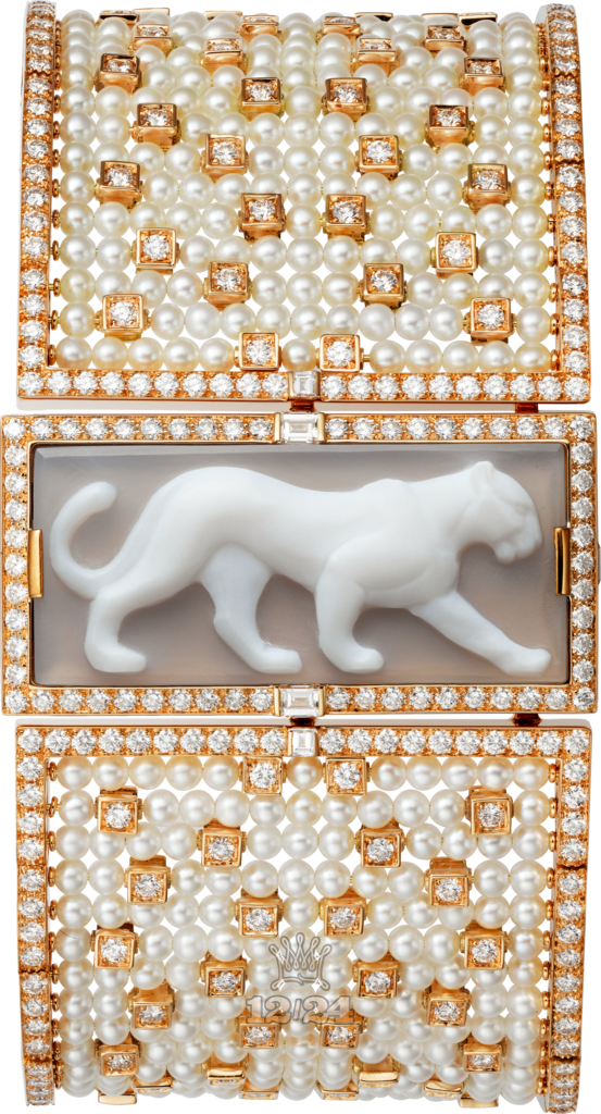 Cartier Creative jewelry watches