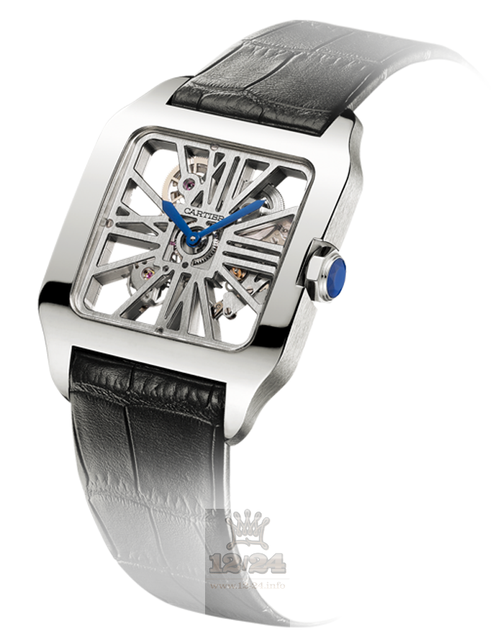 Cartier Santos de Cartier