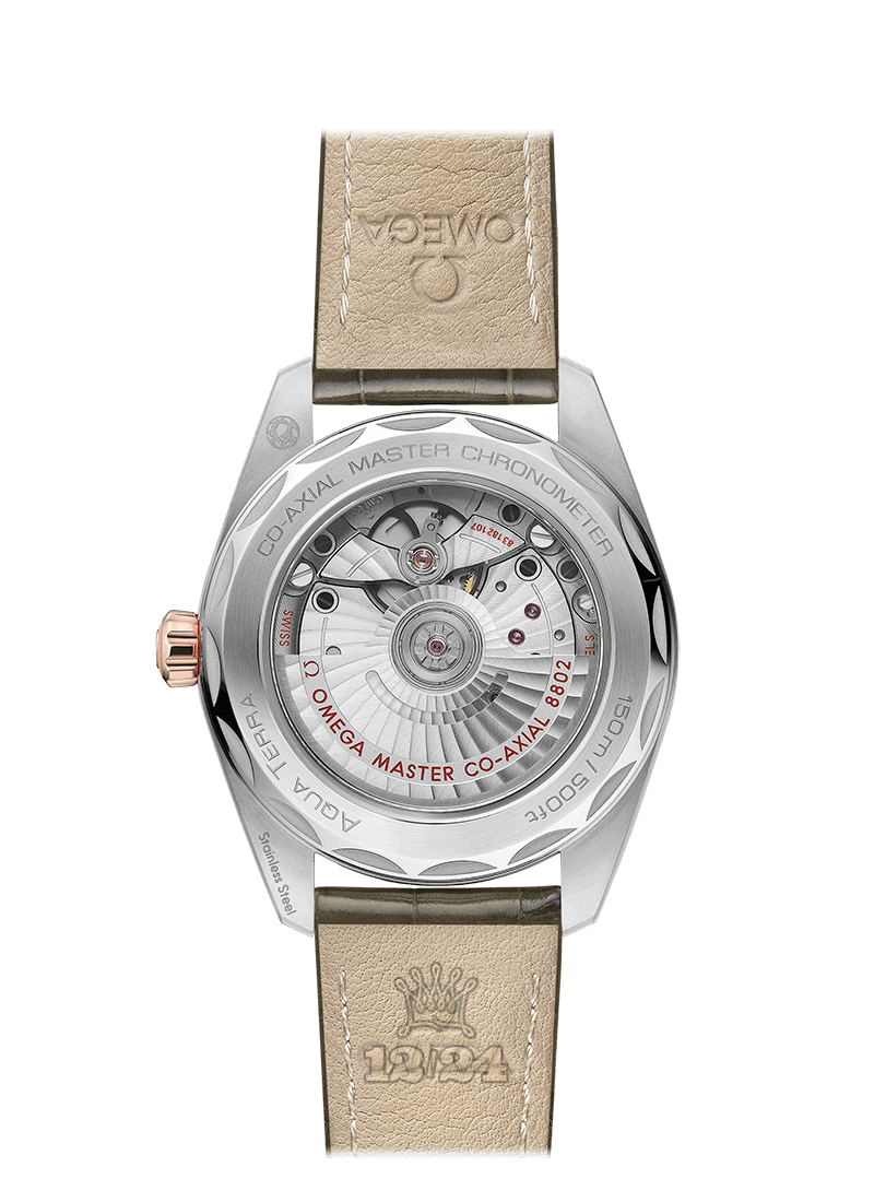 Omega Seamaster