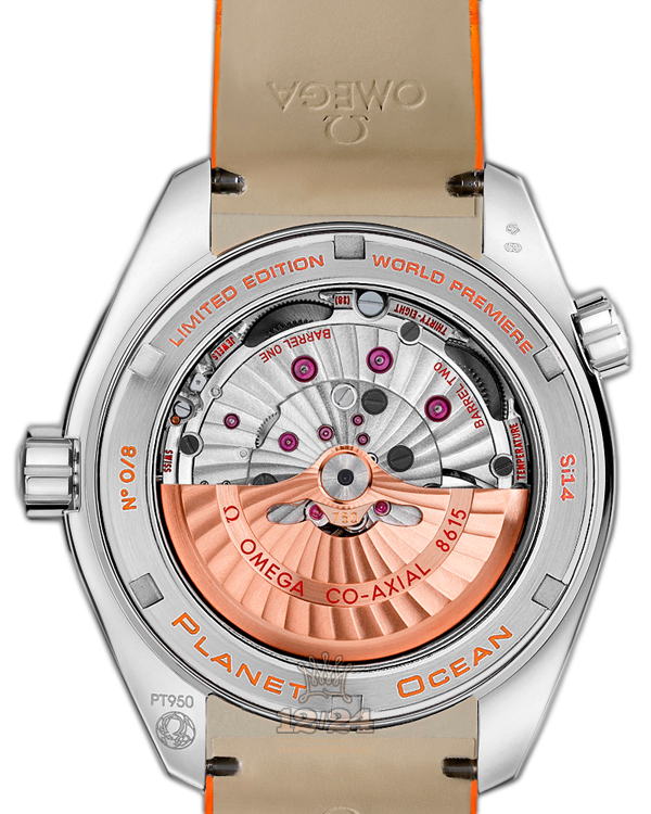 Omega Planet Ocean 600 M