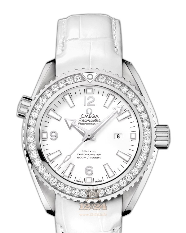 Omega Planet Ocean 600 M