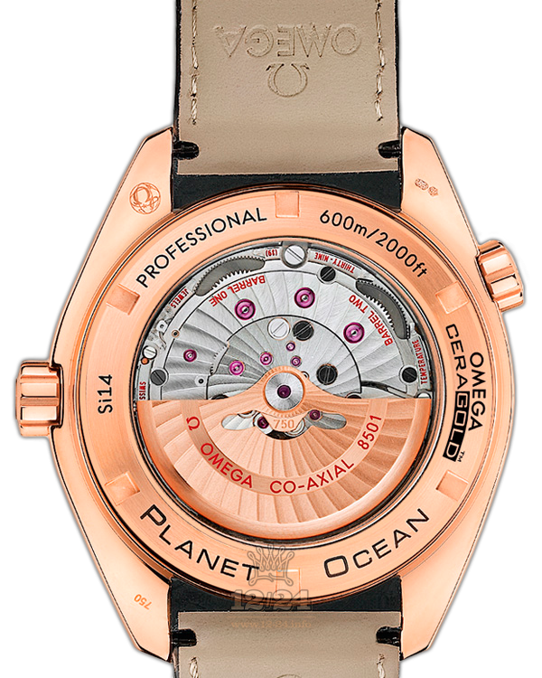 Omega Planet Ocean 600 M