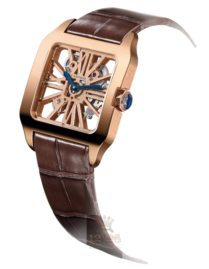 Cartier Santos de Cartier