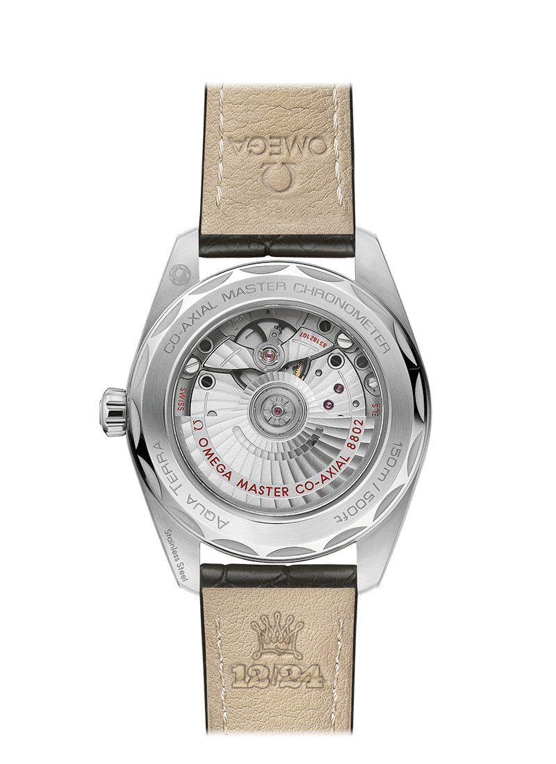 Omega Seamaster