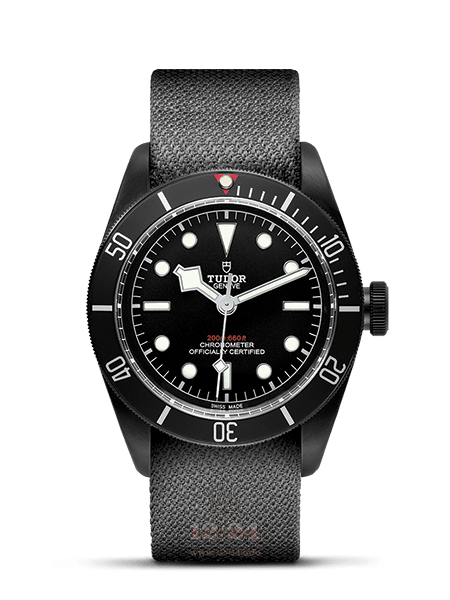 Tudor Black Bay Dark