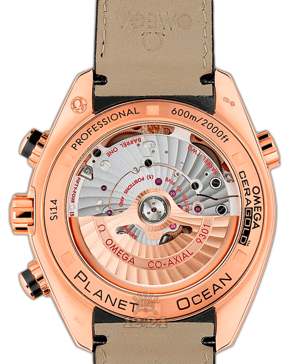 Omega Planet Ocean 600 M