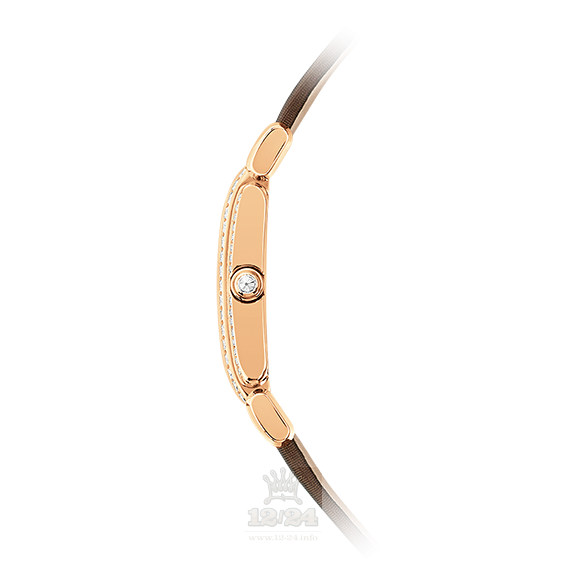 Patek Philippe Twenty~4