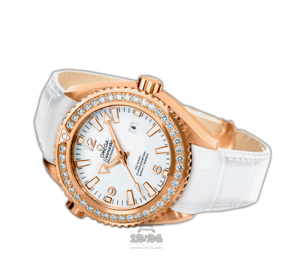 Omega Planet Ocean 600 M