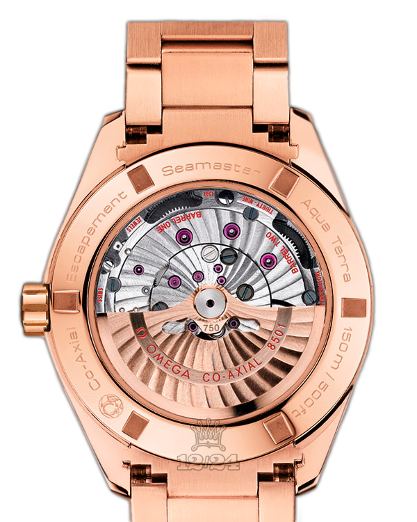 Omega Aqua Terra 150 M