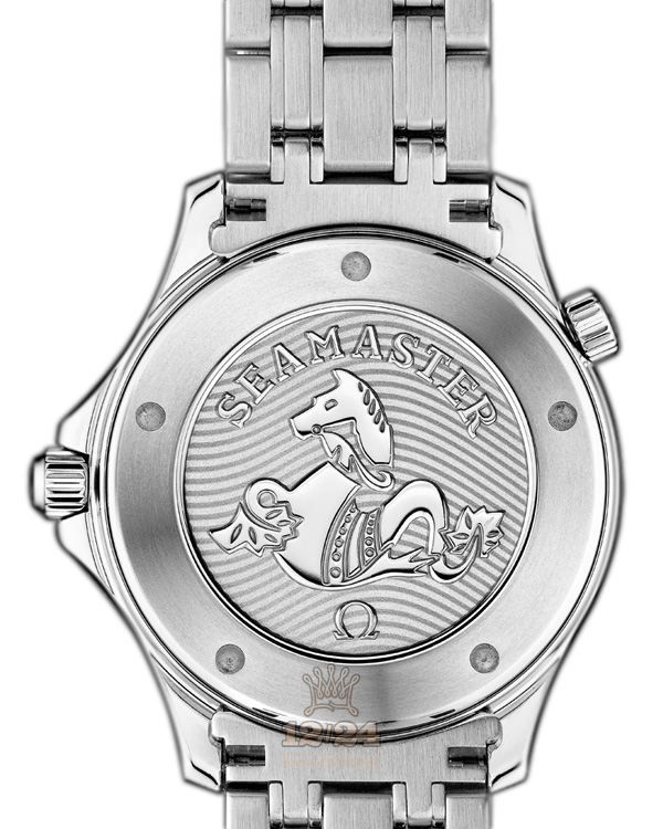 Omega Diver 300 M