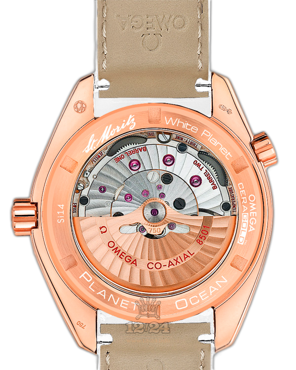 Omega Planet Ocean 600 M