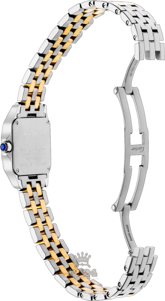 Cartier Santos de Cartier