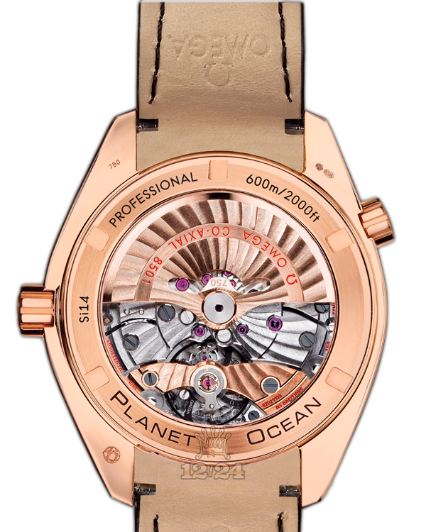 Omega Planet Ocean 600 M