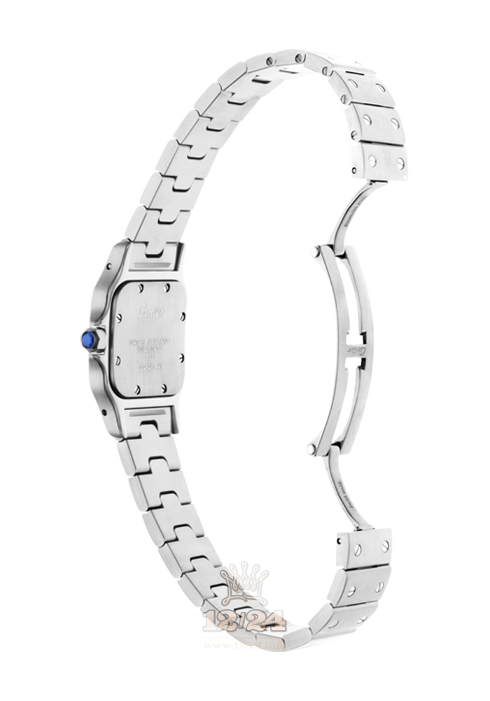 Cartier Santos de Cartier