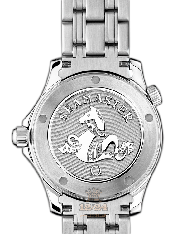 Omega Diver 300 M