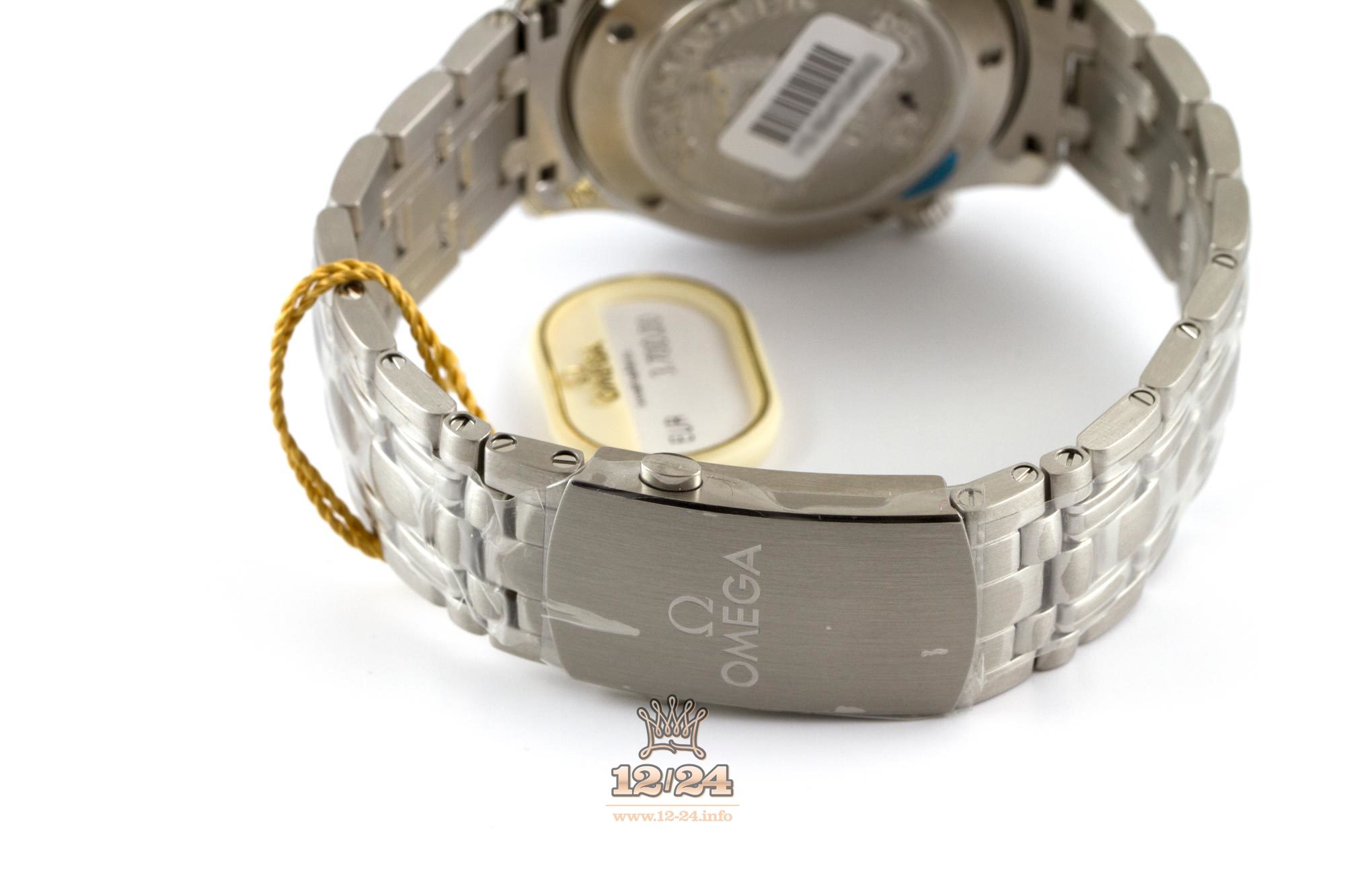 Omega Diver 300 M