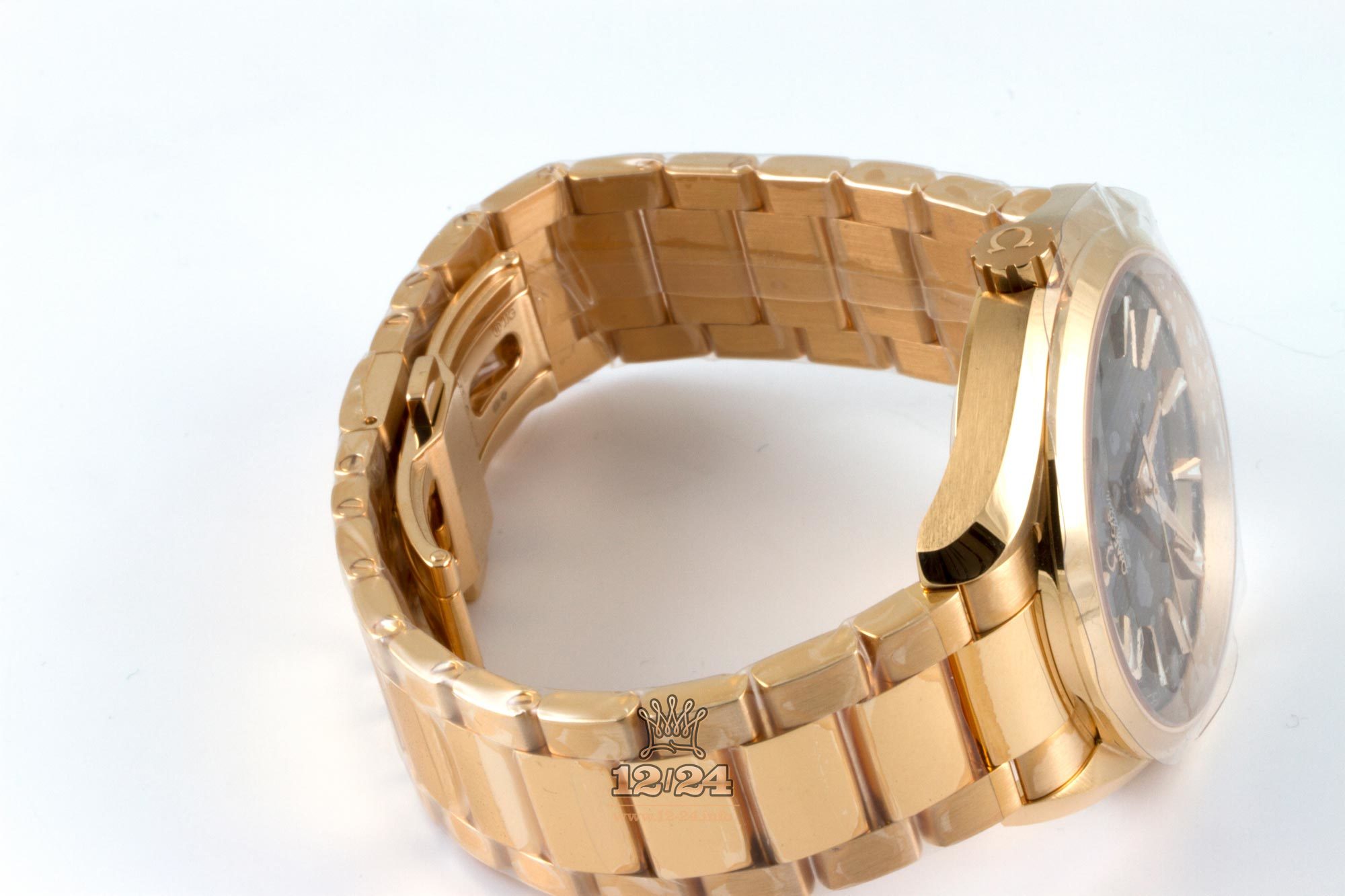 Omega Aqua Terra 150 M